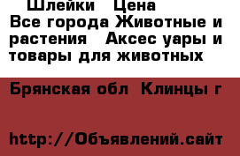 Шлейки › Цена ­ 800 - Все города Животные и растения » Аксесcуары и товары для животных   . Брянская обл.,Клинцы г.